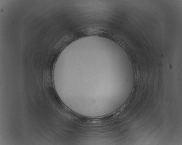 X0000074260506200608250903