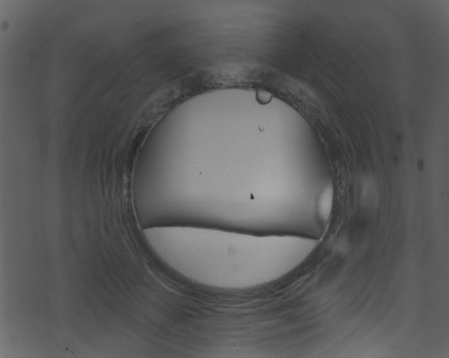 X0000074260507200608250903