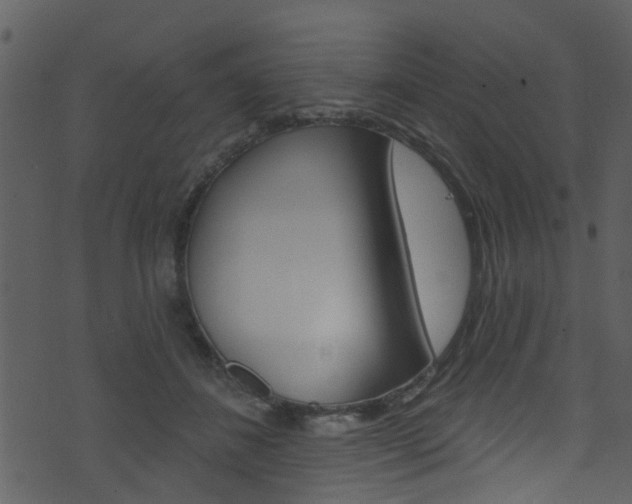 X0000074260508200608250903