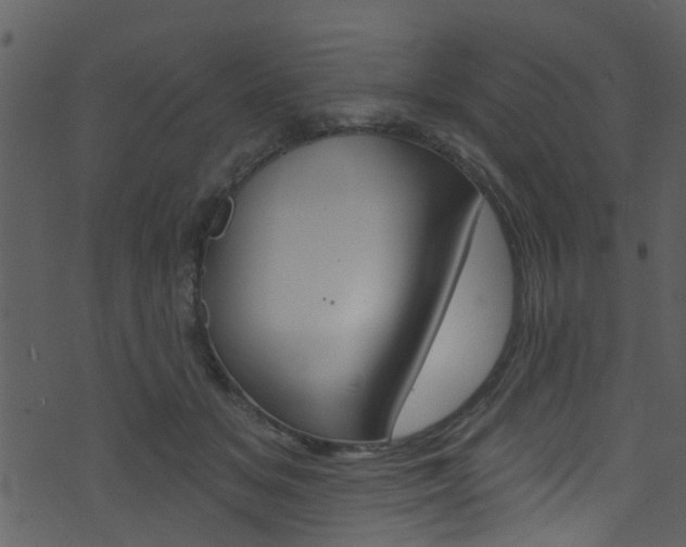 X0000074260509200608250903