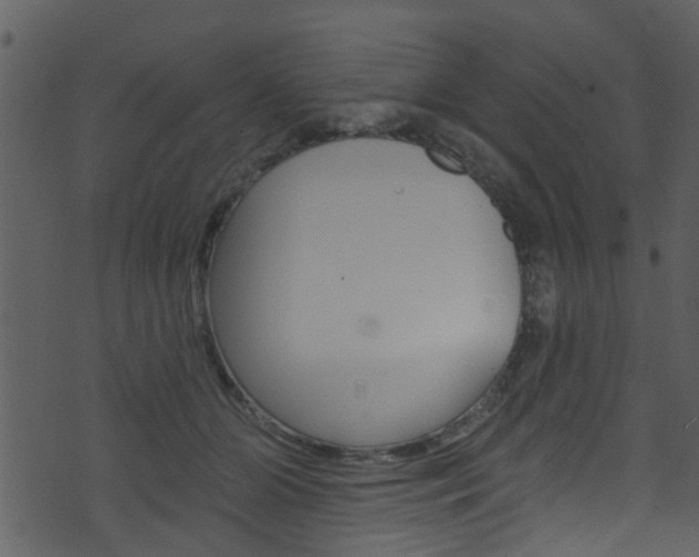 X0000074260510200608250903