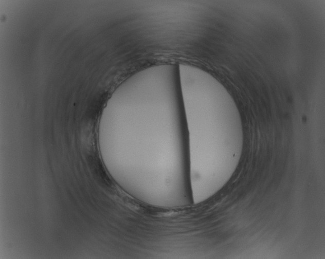 X0000074260511200608250903