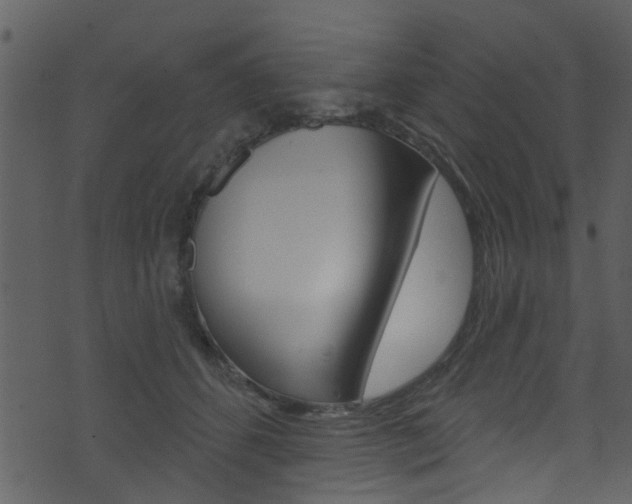 X0000074260512200608250903