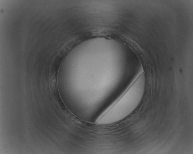 X0000074260513200608250903