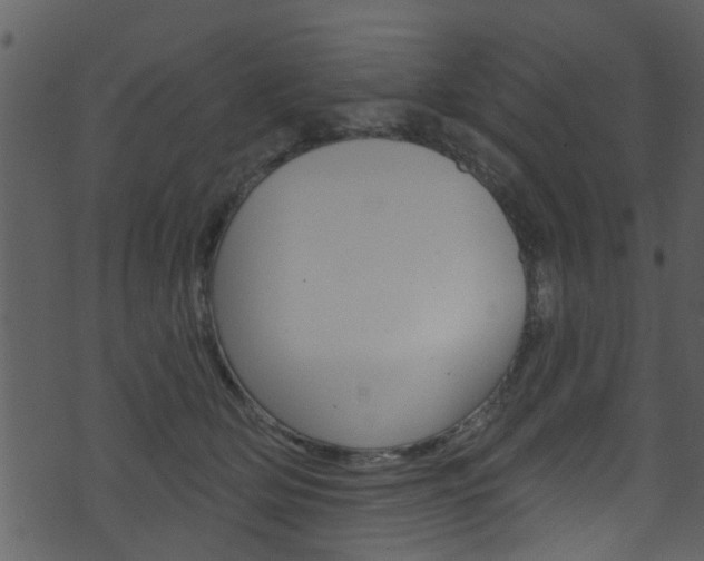 X0000074260514200608250903