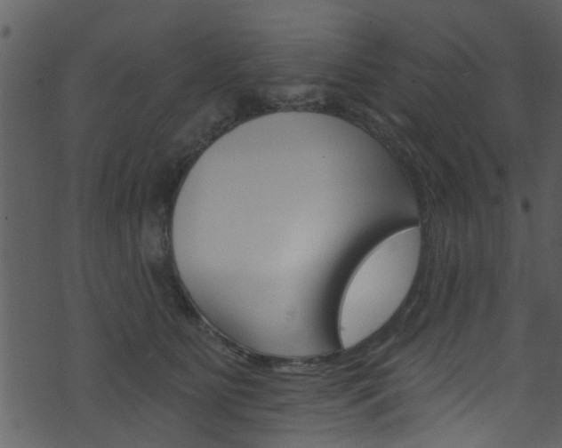 X0000074260515200608250903