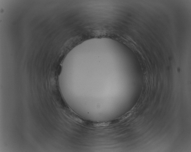 X0000074260516200608250903