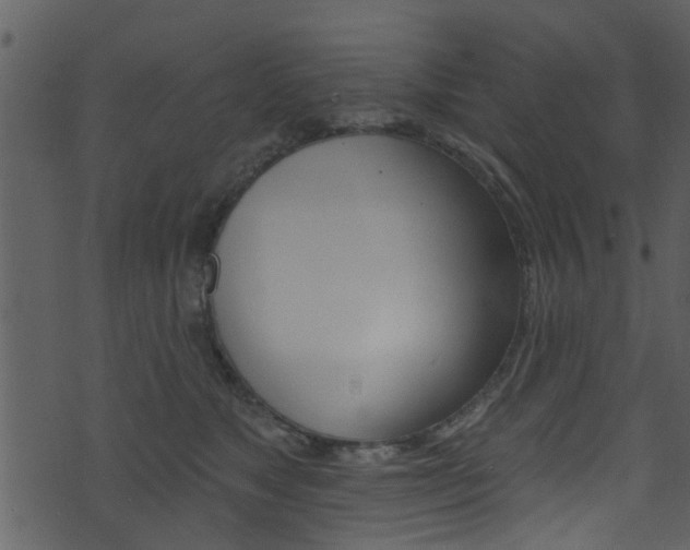 X0000074260517200608250903