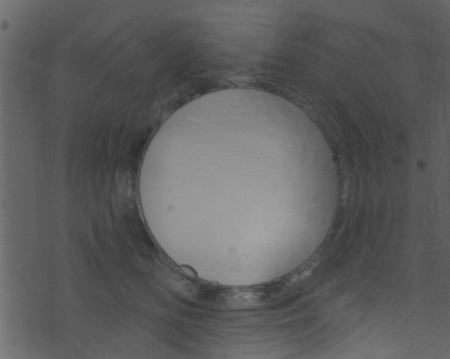 X0000074260518200608250903