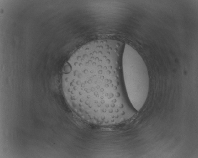 X0000074260519200608250903