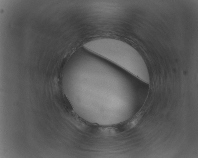 X0000074260520200608250903