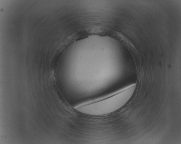 X0000074260521200608250903