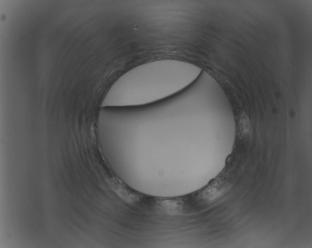 X0000074260522200608250903