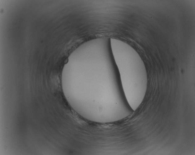 X0000074260523200608250903