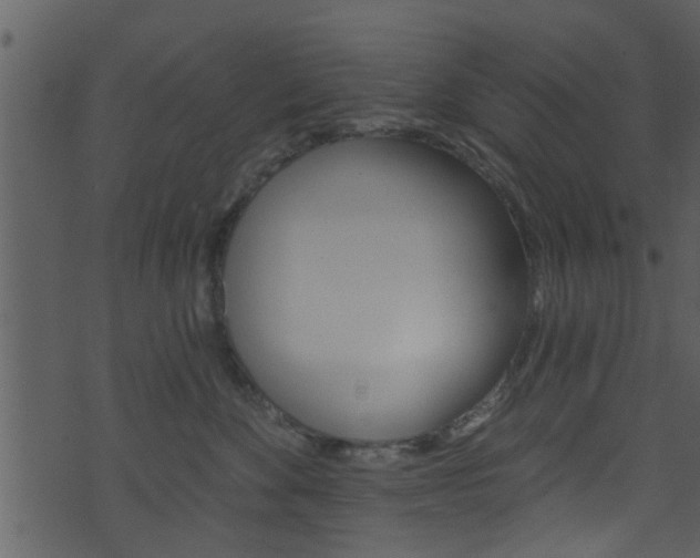 X0000074260524200608250903