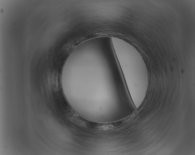 X0000074260525200608250903