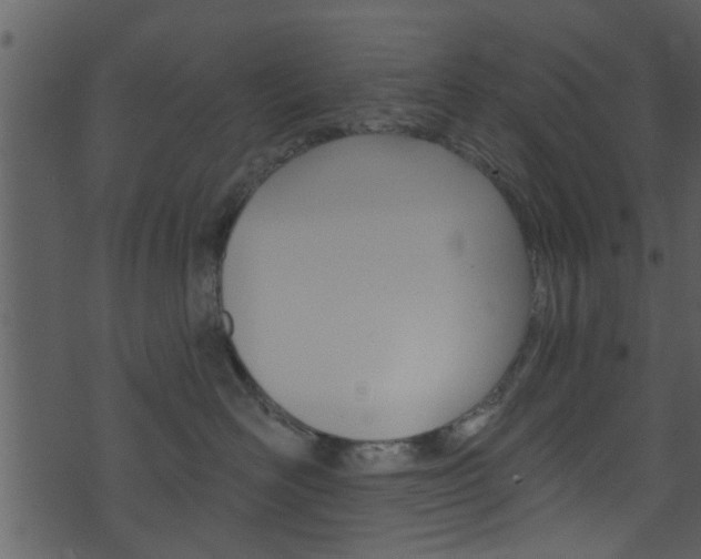 X0000074260526200608250903