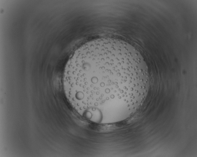 X0000074260527200608250903