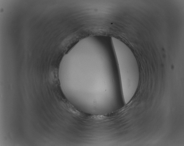 X0000074260528200608250903