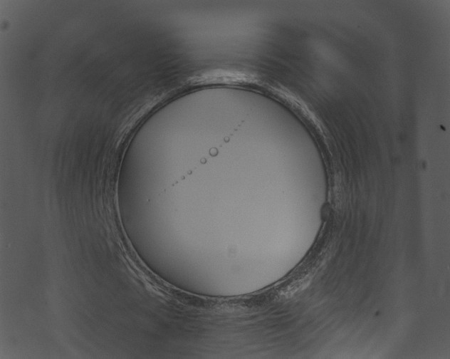 X0000074260529200608250902