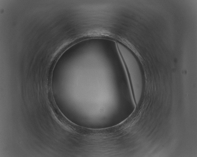 X0000074260530200608250902