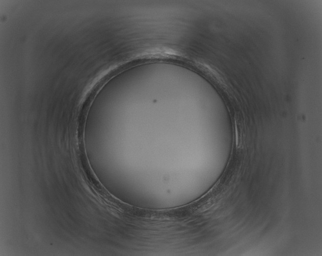 X0000074260531200608250902