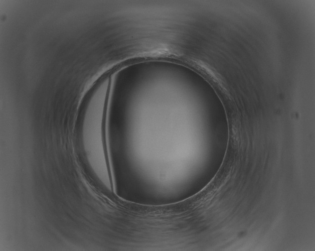 X0000074260532200608250902