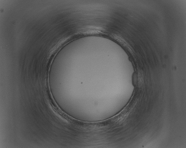 X0000074260533200608250902