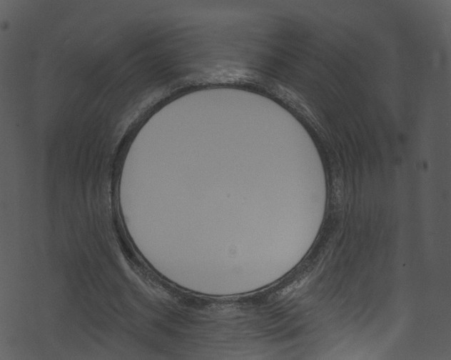 X0000074260534200608250902