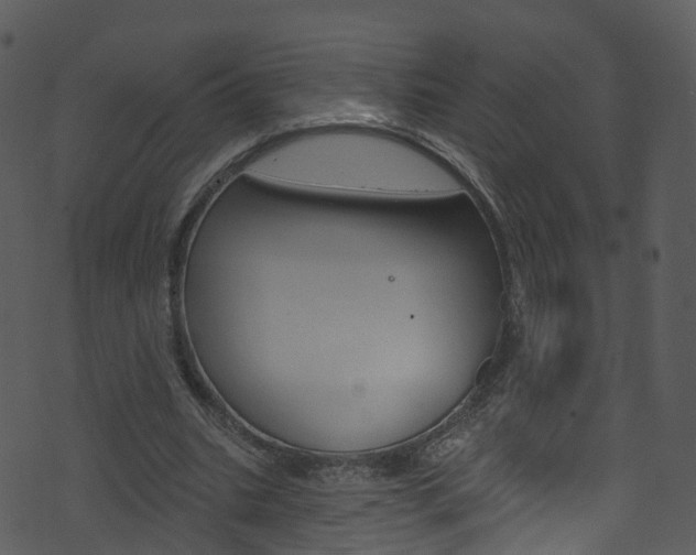 X0000074260535200608250902