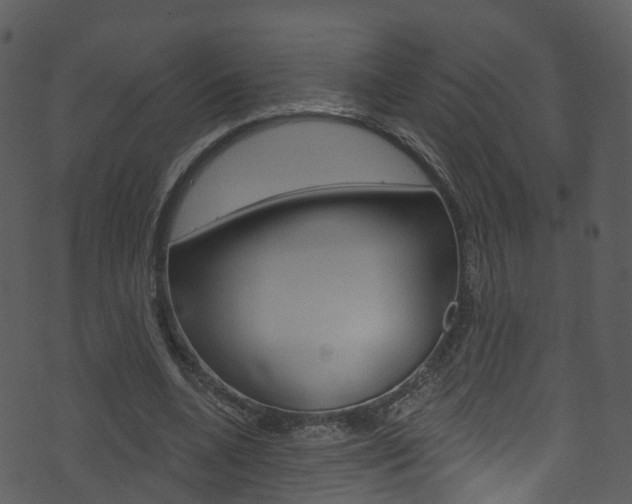 X0000074260536200608250902