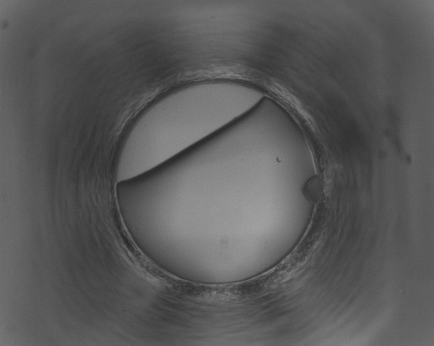 X0000074260537200608250902