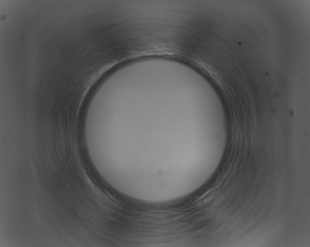 X0000074260540200608250902