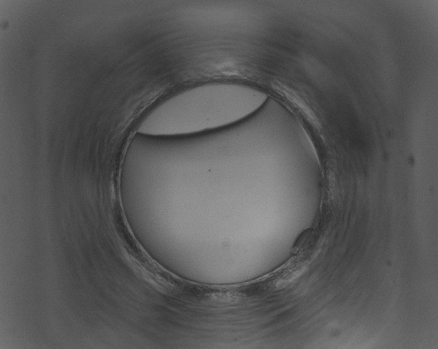 X0000074260541200608250902