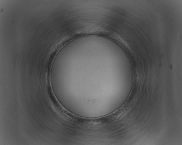 X0000074260542200608250902