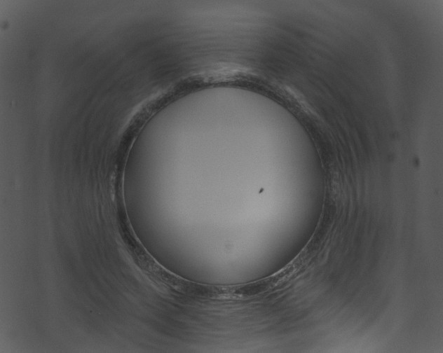 X0000074260543200608250902