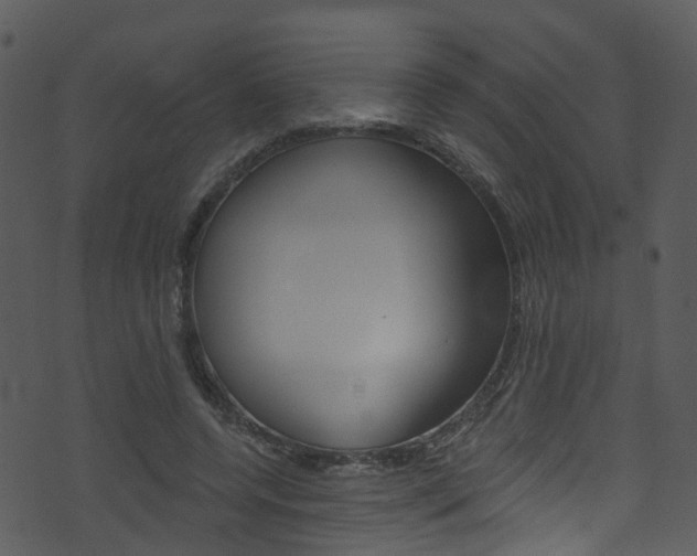 X0000074260544200608250902