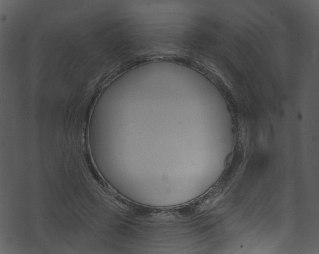 X0000074260545200608250902