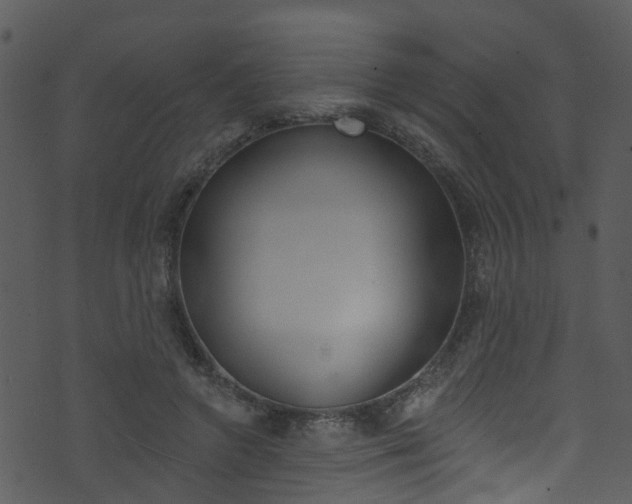 X0000074260546200608250903