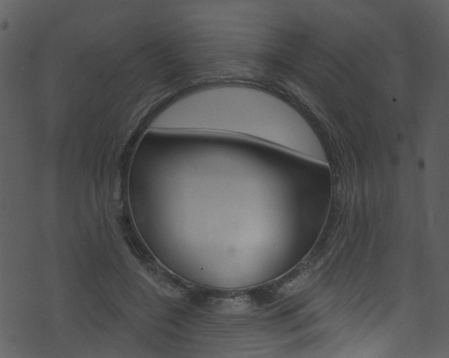 X0000074260548200608250903