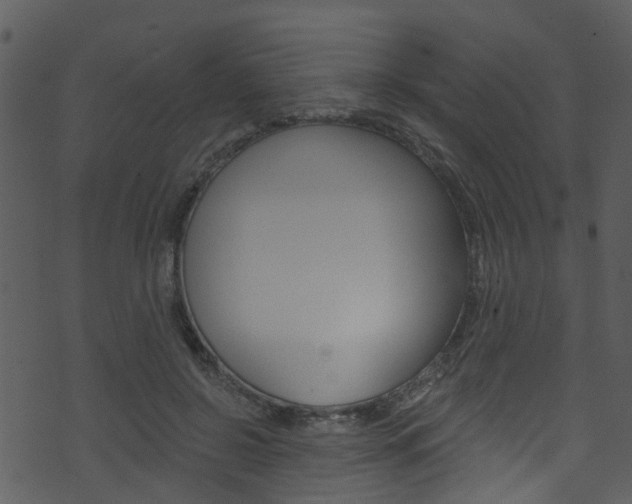 X0000074260550200608250903