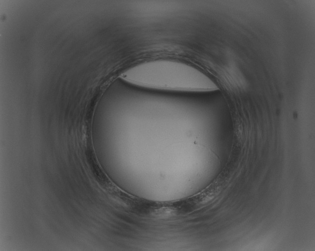 X0000074260551200608250903