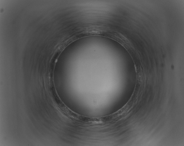 X0000074260552200608250903