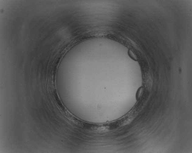 X0000074260553200608250903