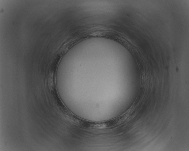 X0000074260554200608250903