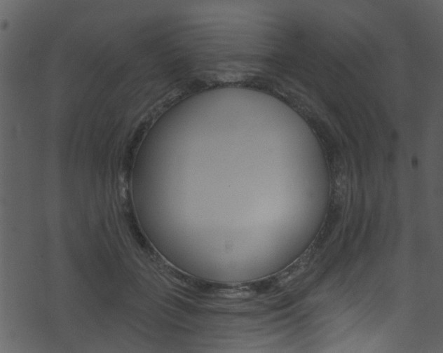 X0000074260555200608250903