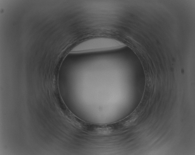 X0000074260556200608250903