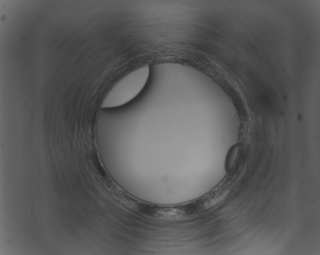 X0000074260557200608250903