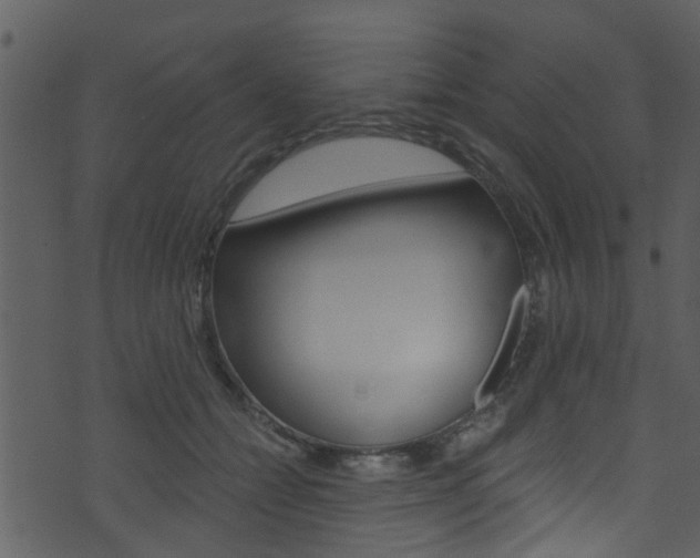 X0000074260558200608250903