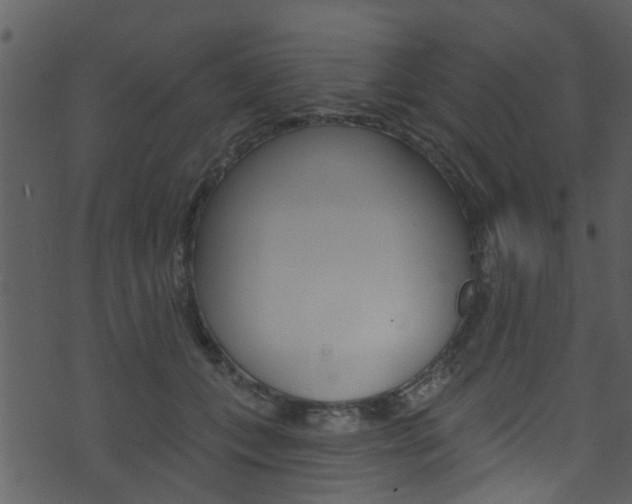 X0000074260559200608250903